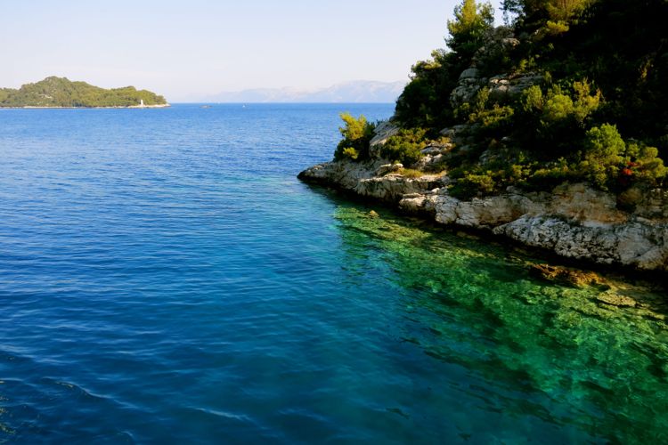 dalmatian coast