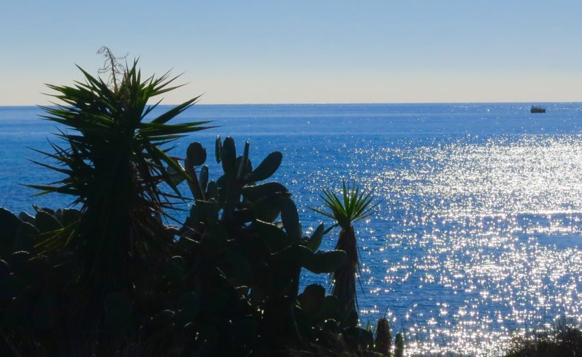 coast east of larnaka