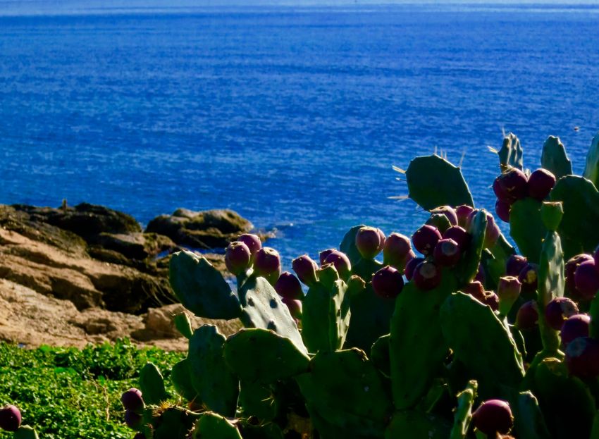 coast east of larnaka