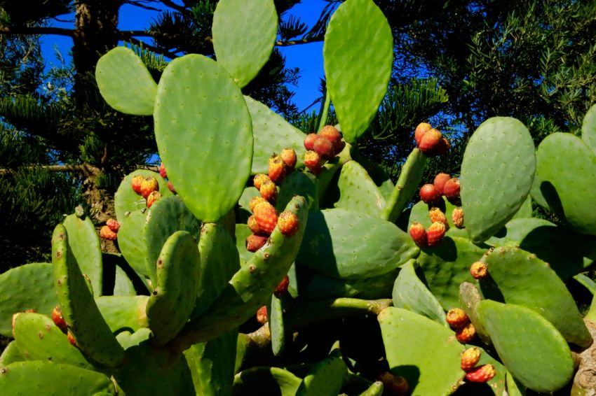 coast east of larnaka