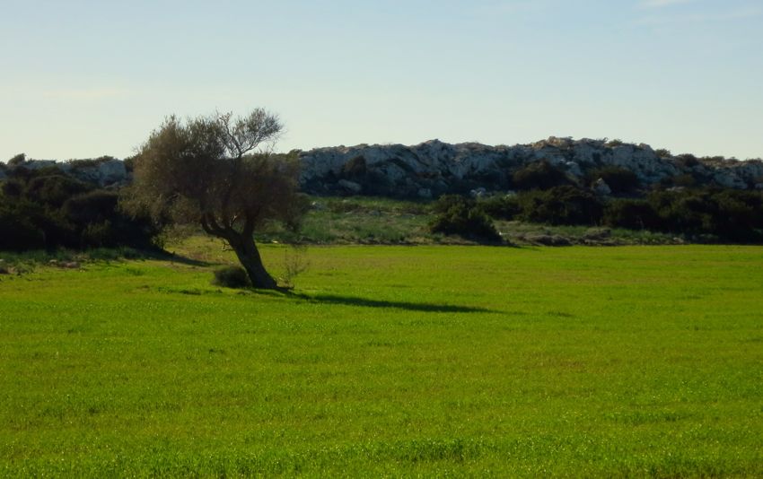 coast east of larnaka