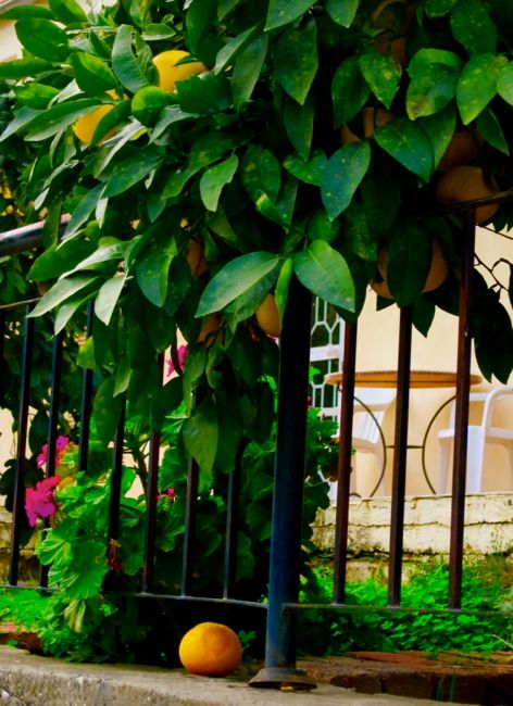 mountain village: tochni