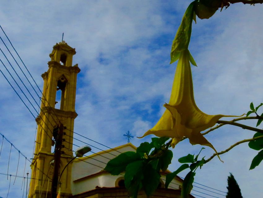 mountain village: choirokoitia