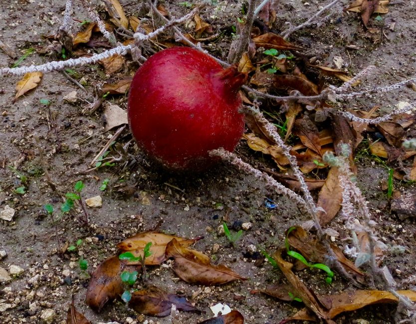 mountain village: vavla