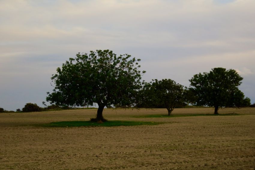 mountain area north of larnaka