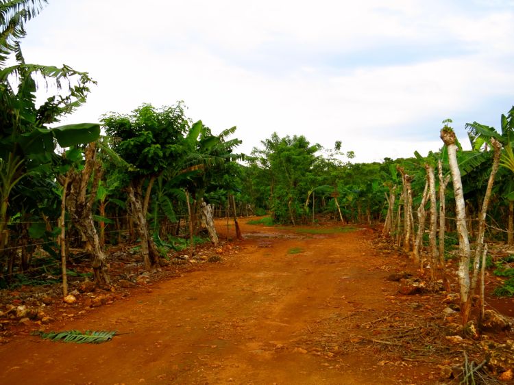 peninsula samana - las galeras