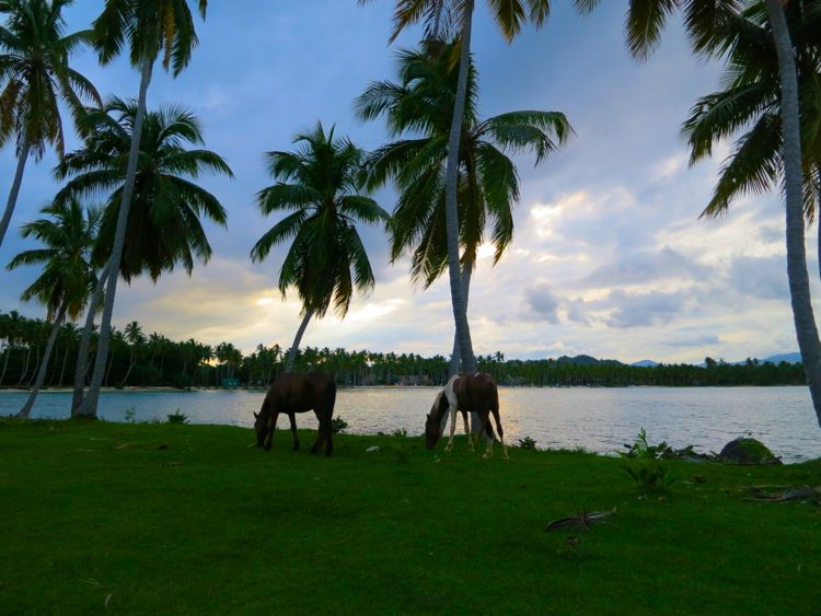 peninsula samana - las galeras