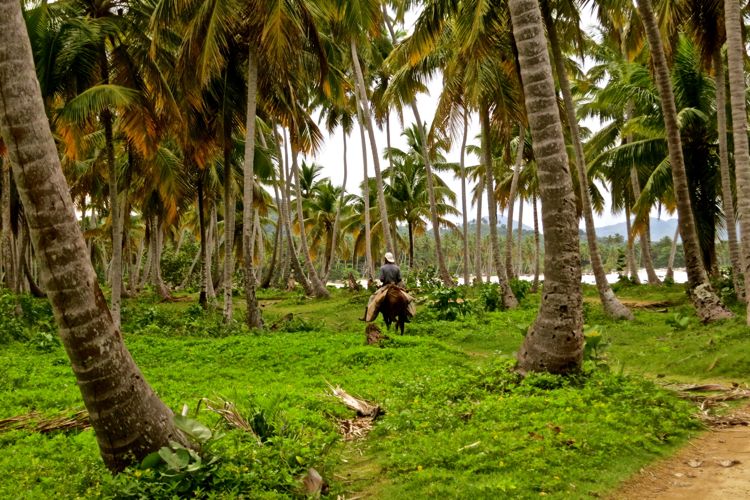 peninsula samana - las galeras