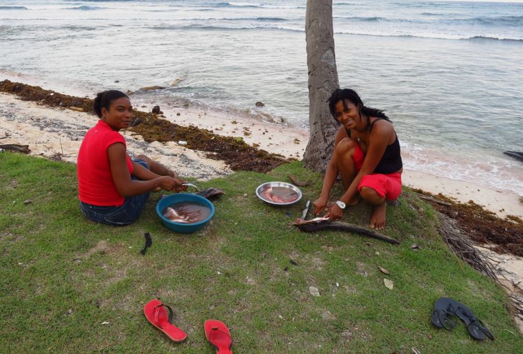 peninsula samana - las galeras