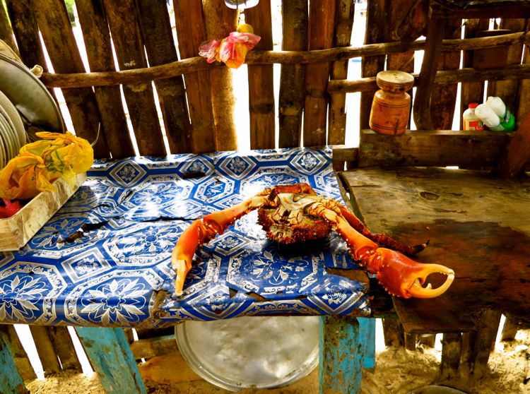 peninsula samana - playa rincon