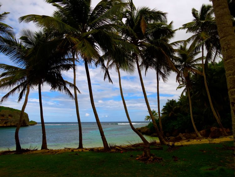 peninsula samana - playa madama