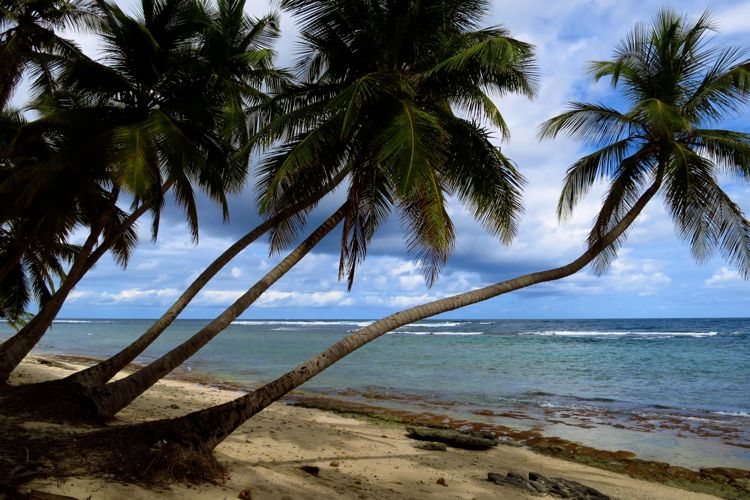 peninsula samana - playa fronton