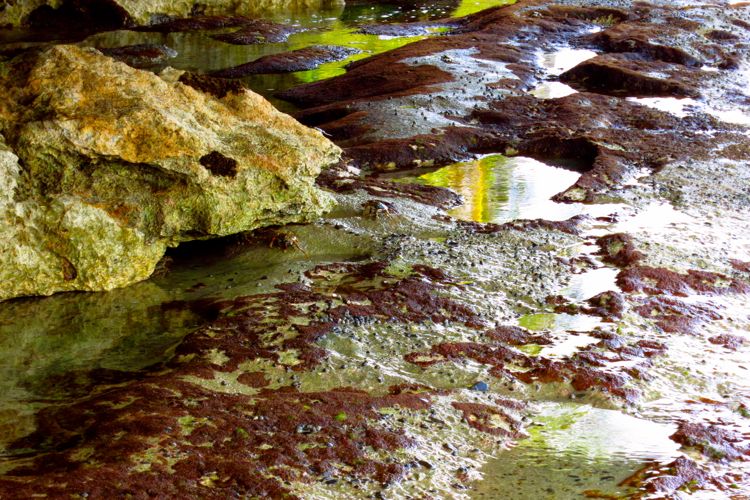 peninsula samana - playa fronton