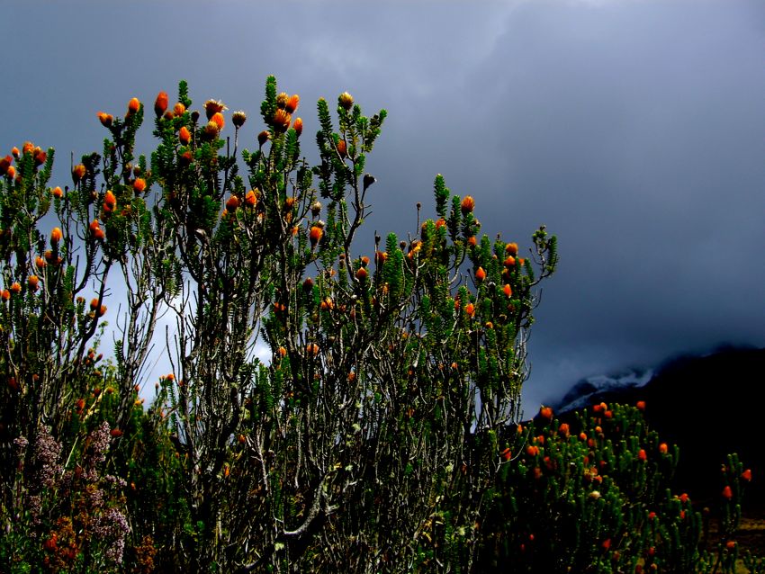 mountain road around quito