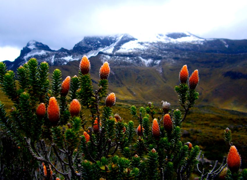 mountain road around quito