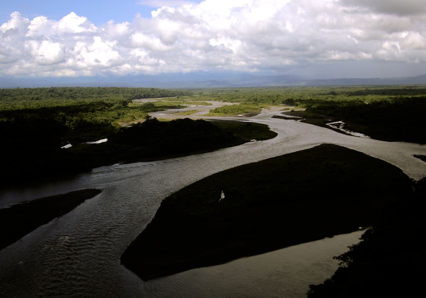 jungle area around puyo