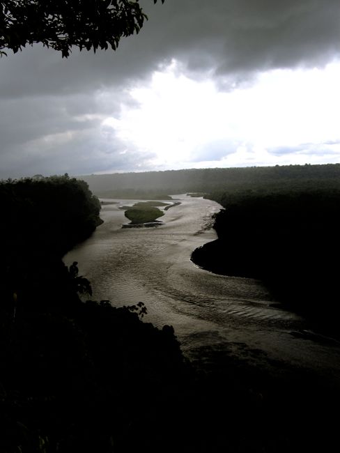 jungle area around puyo