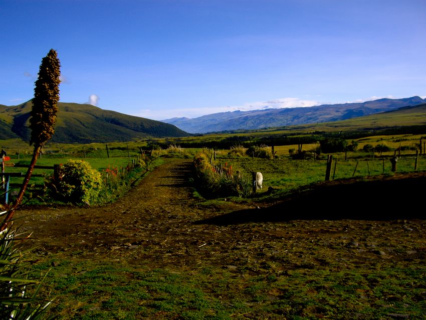 cotopaxi national park