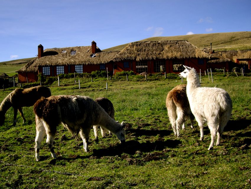 cotopaxi national park