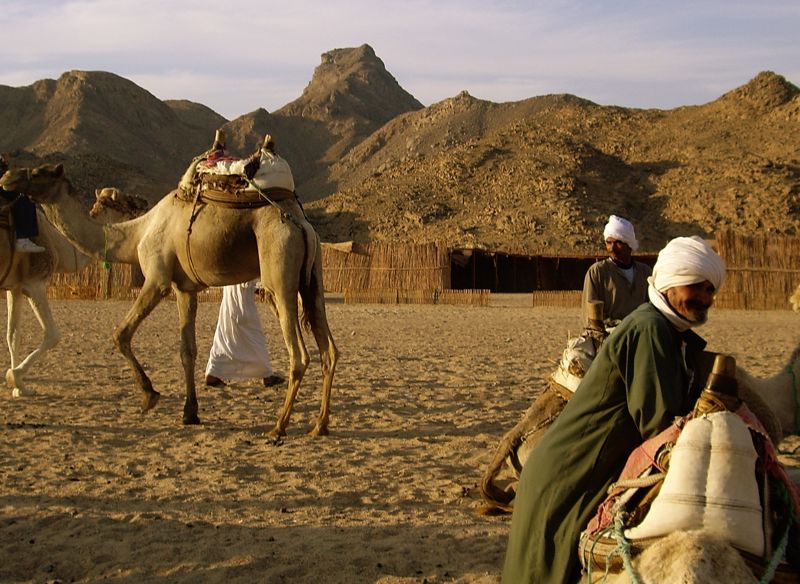 eastern desert - beduins