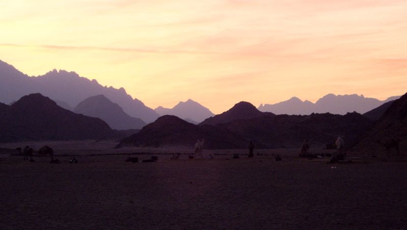 sunset in the eastern desert