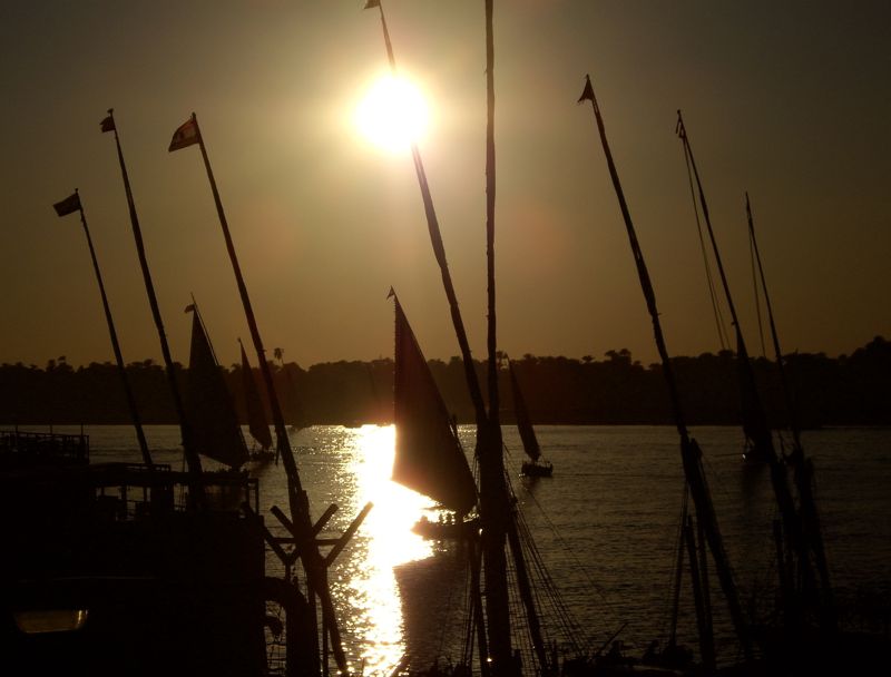 feluccas - feluccas on the nile