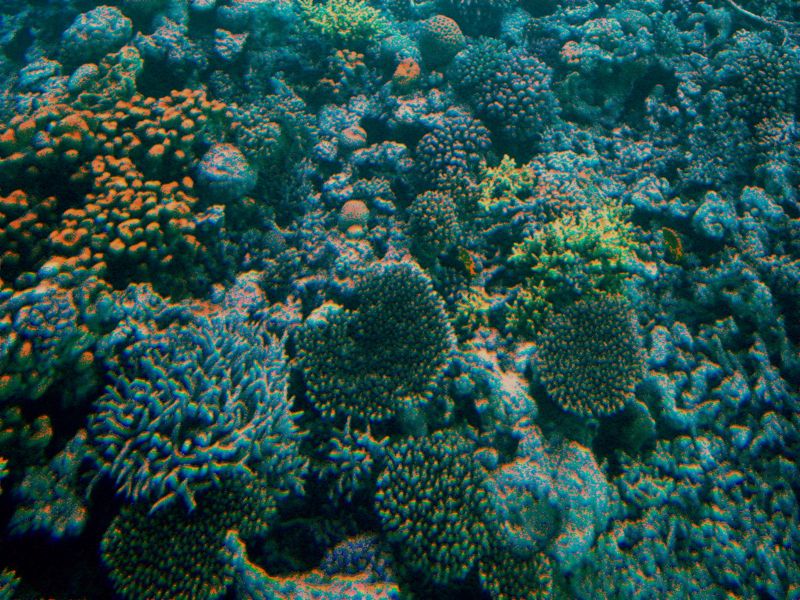 hurghada - under the red sea