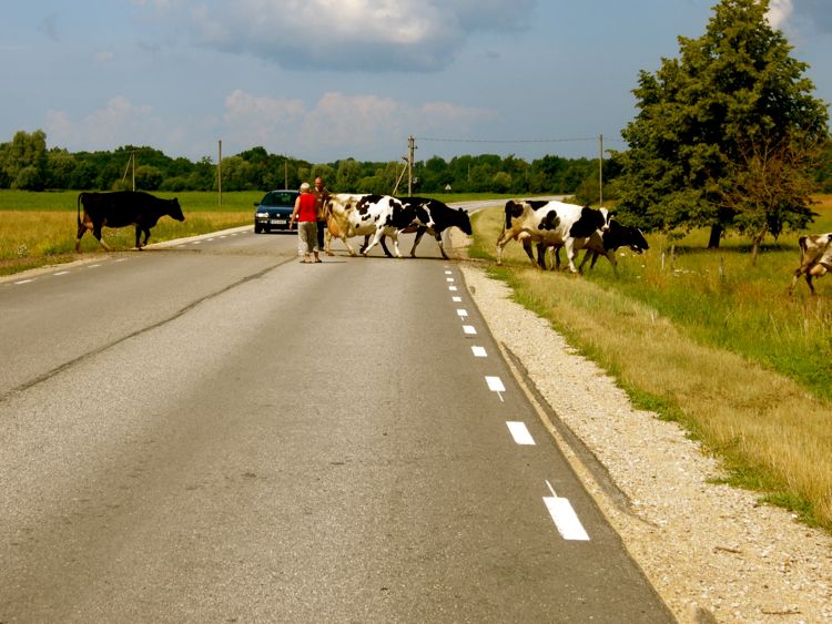 countryside in the western region