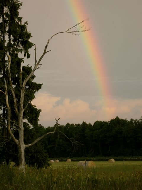countryside in the south-western region