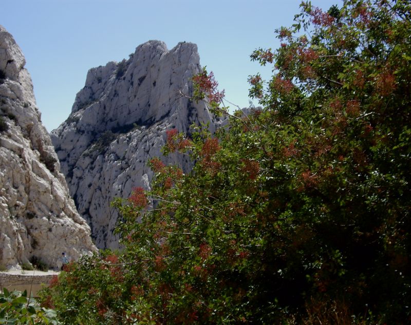calanques