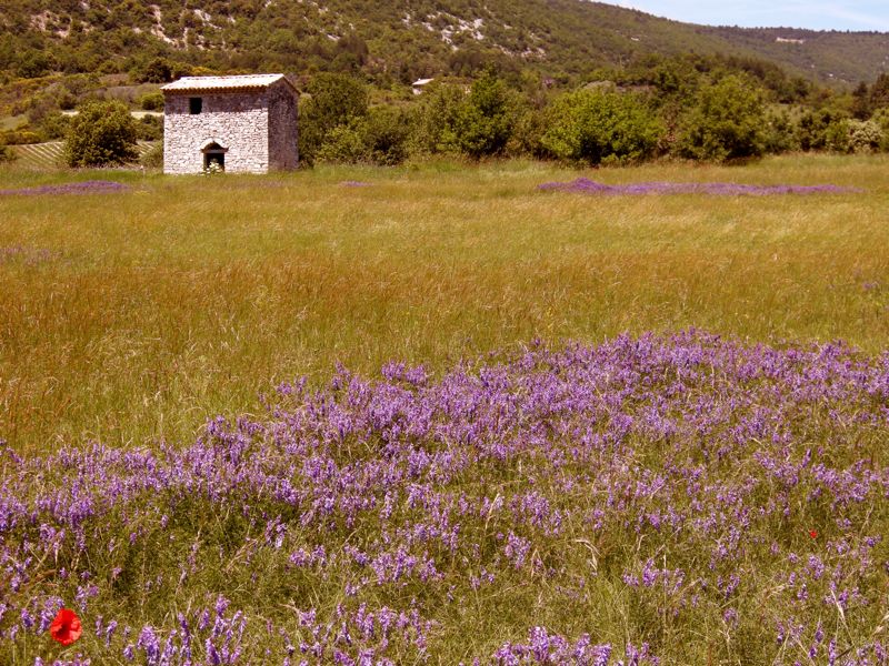 provence