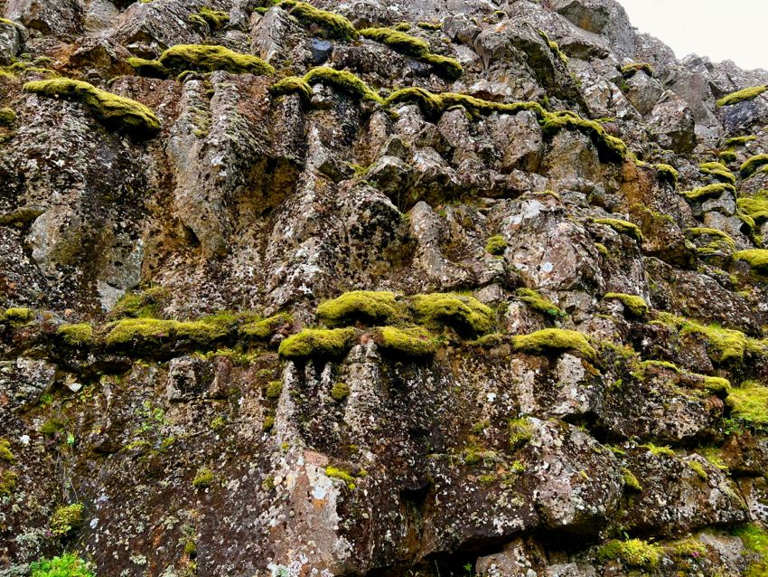 southwestern region (2022)