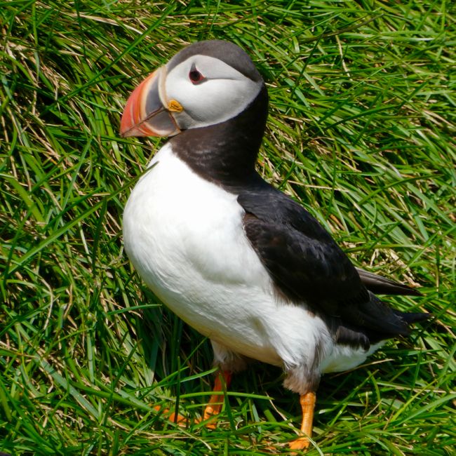 southwestern region (2022)