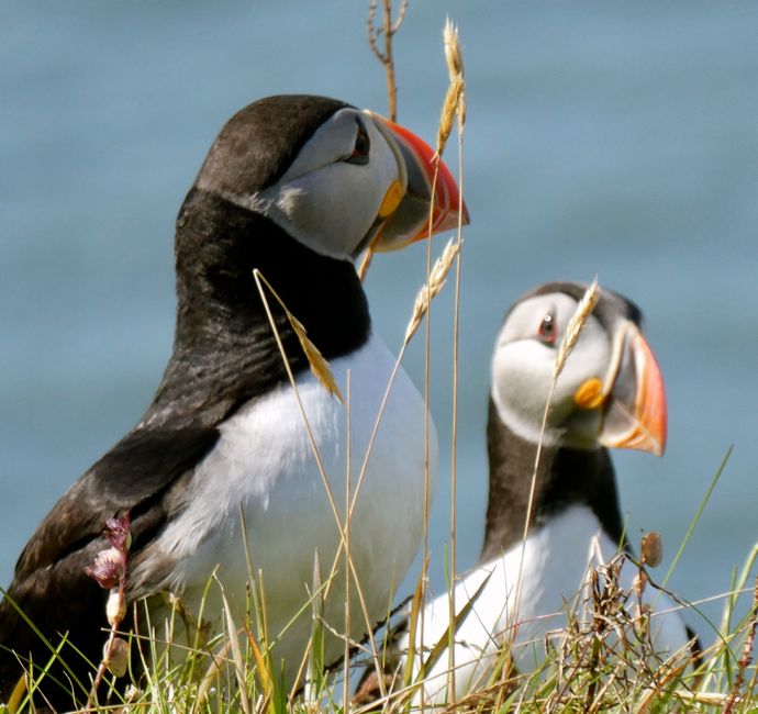 southwestern region (2022)