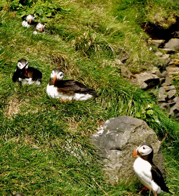 southwestern region (2022)