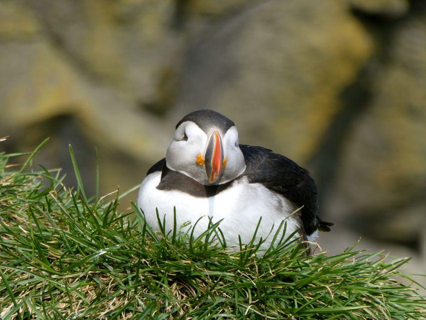 southwestern region (2022)