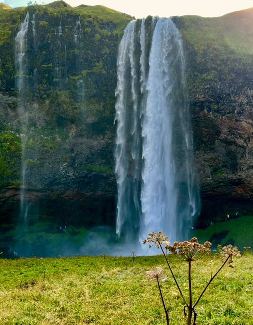 southern region (2022)