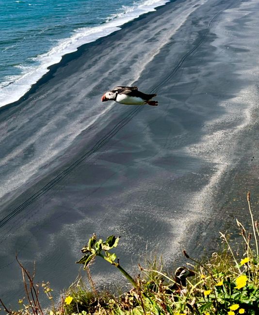 southern region (2022)