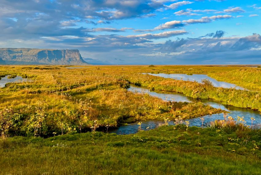 southern region (2022)