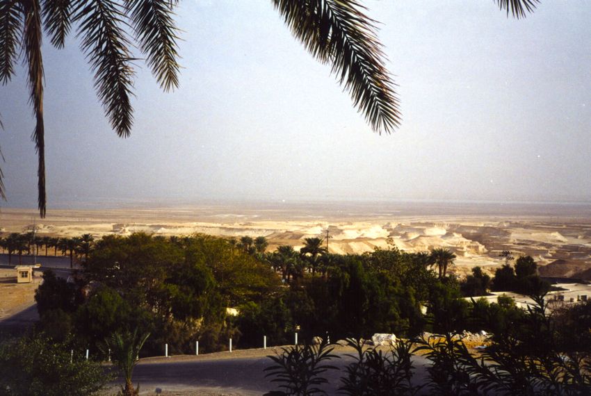 ein gedi