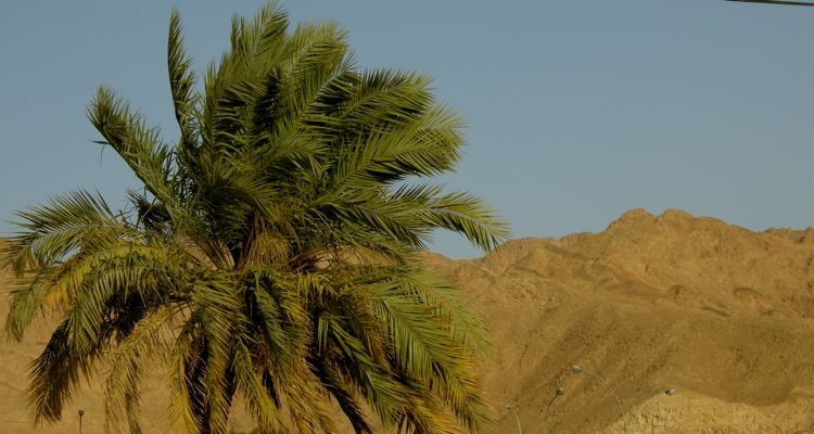 aqaba