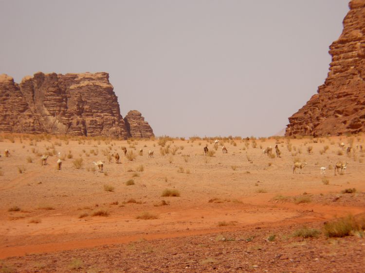 wadi rum