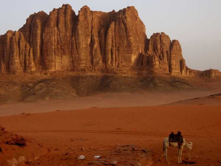 wadi rum - morning light