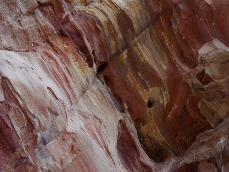 petra - rock detail in the siq
