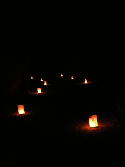 petra - siq by night