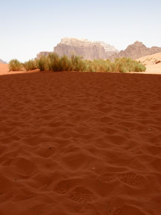 wadi rum