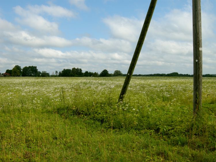 Gaujas national park