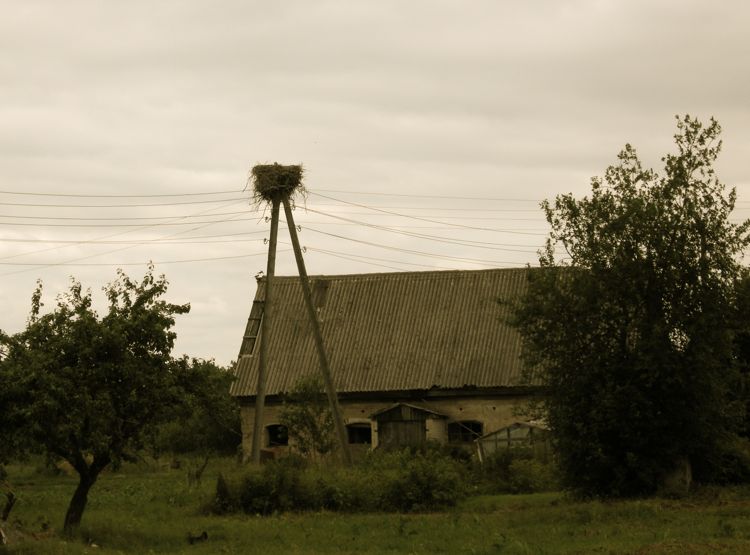 countryside in the north-western region