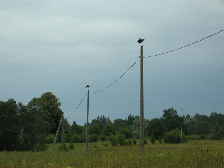 countryside in the north-western region
