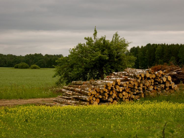 countryside in the north-western region